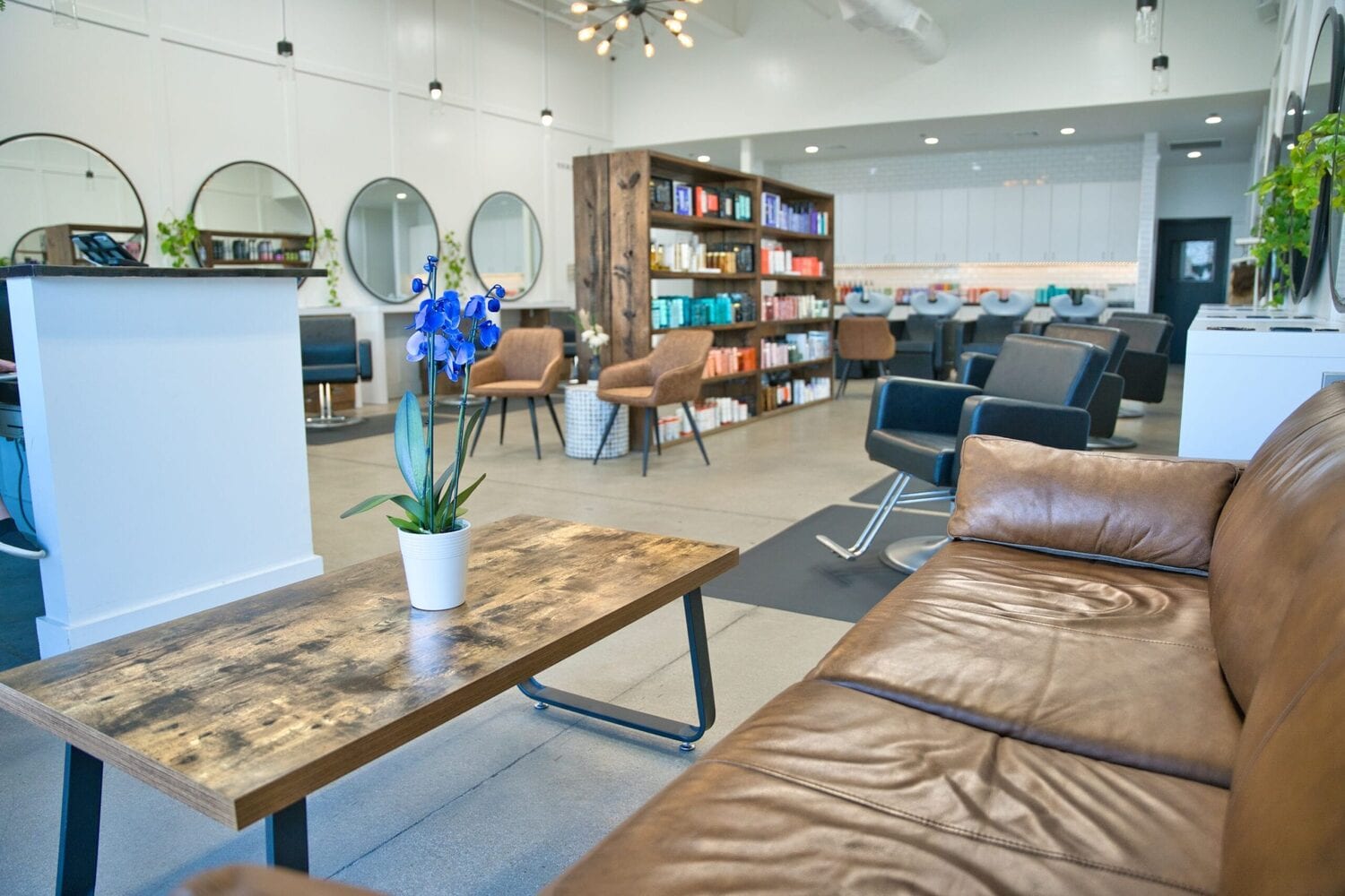 David Ryan Salon, photo 3