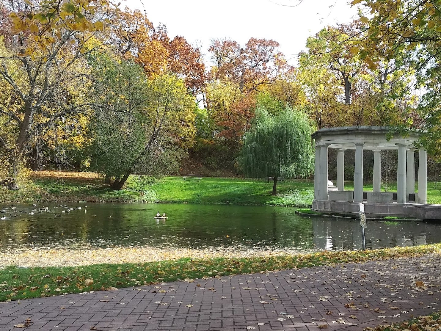 Duck Pond