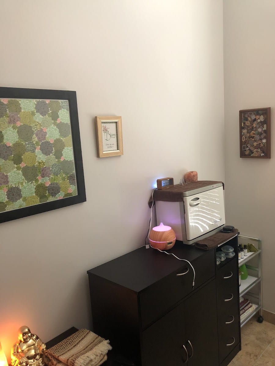 Driftwood Day Spa, photo 2