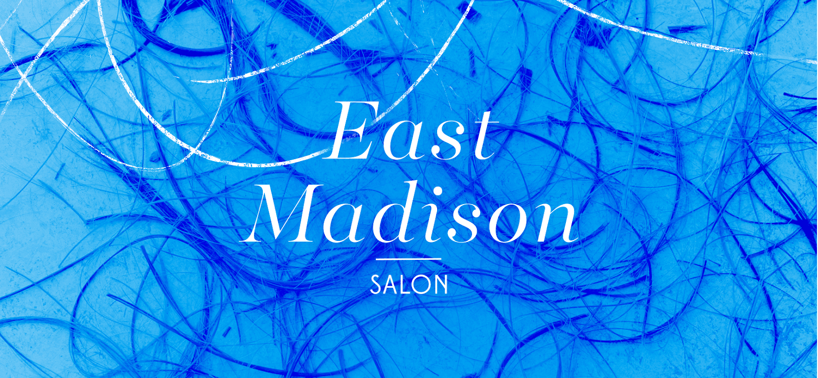 East Madison Salon, photo 2