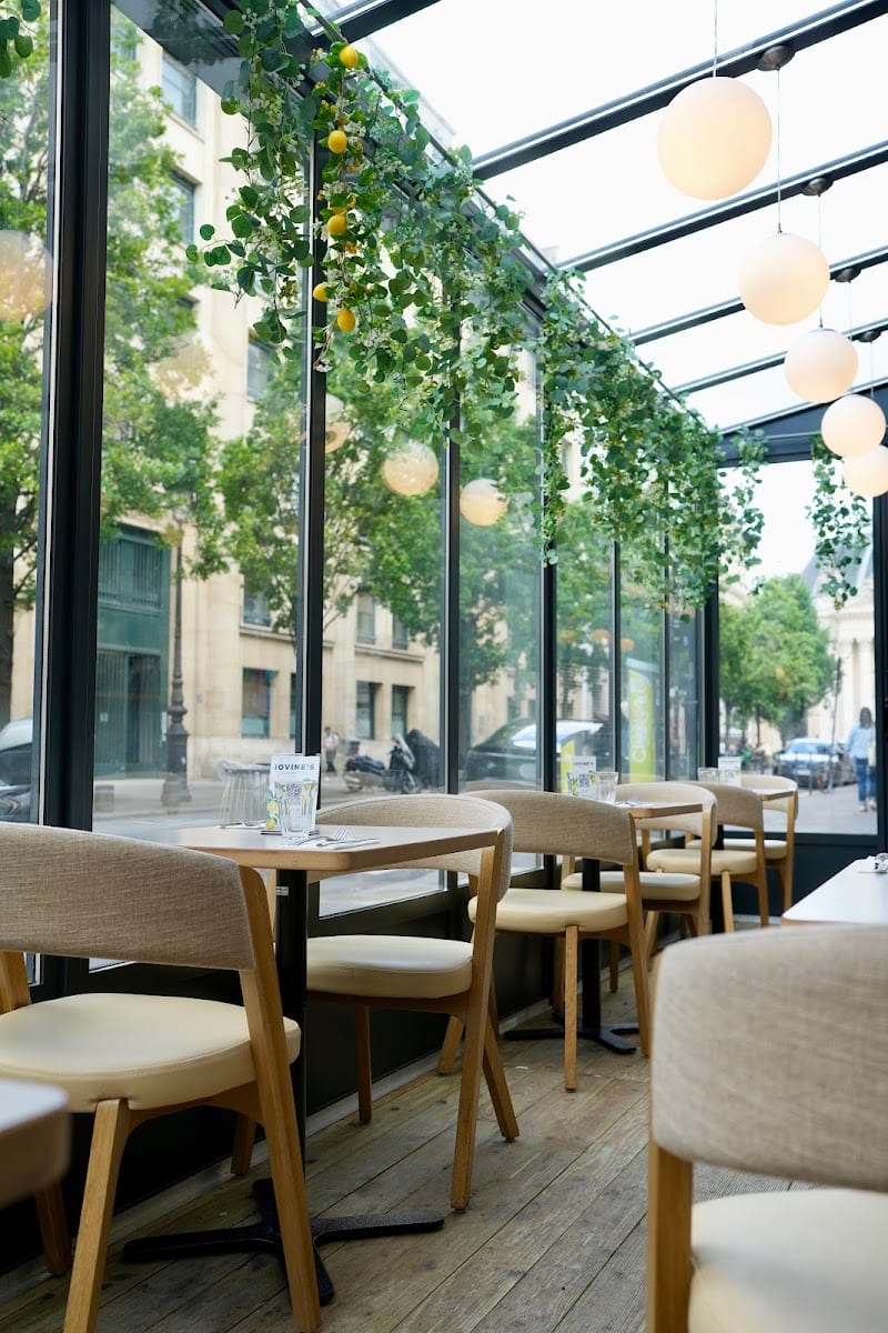 Pizzeria Lovine's, photo 2