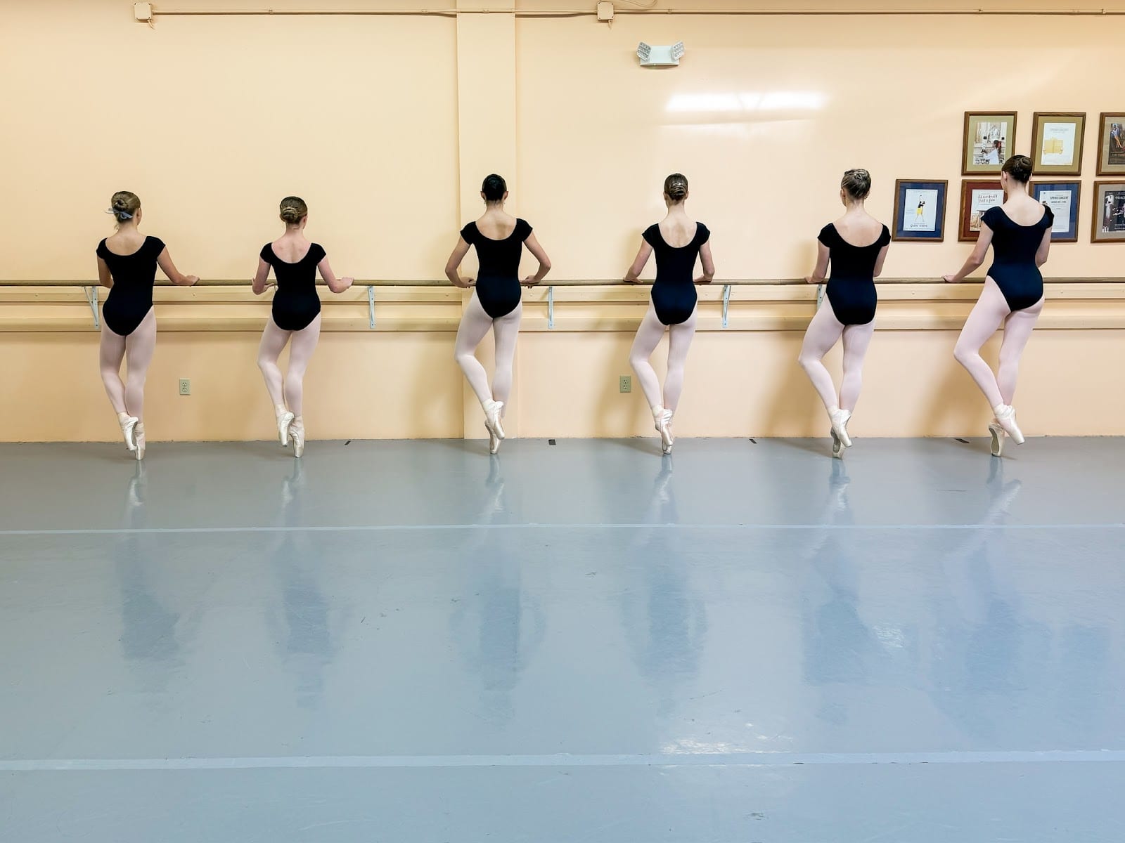 Project Ballet, photo 3