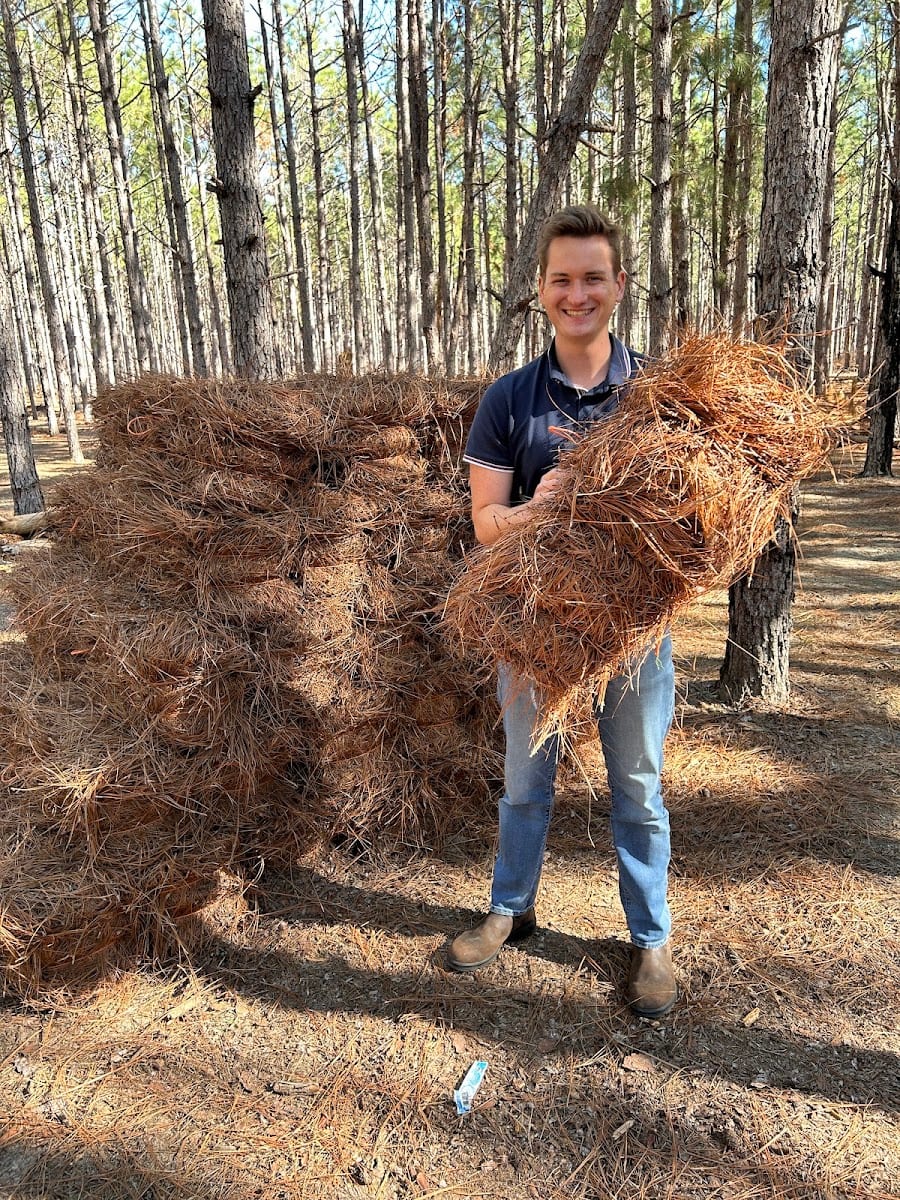 StrawBox Pine Straw