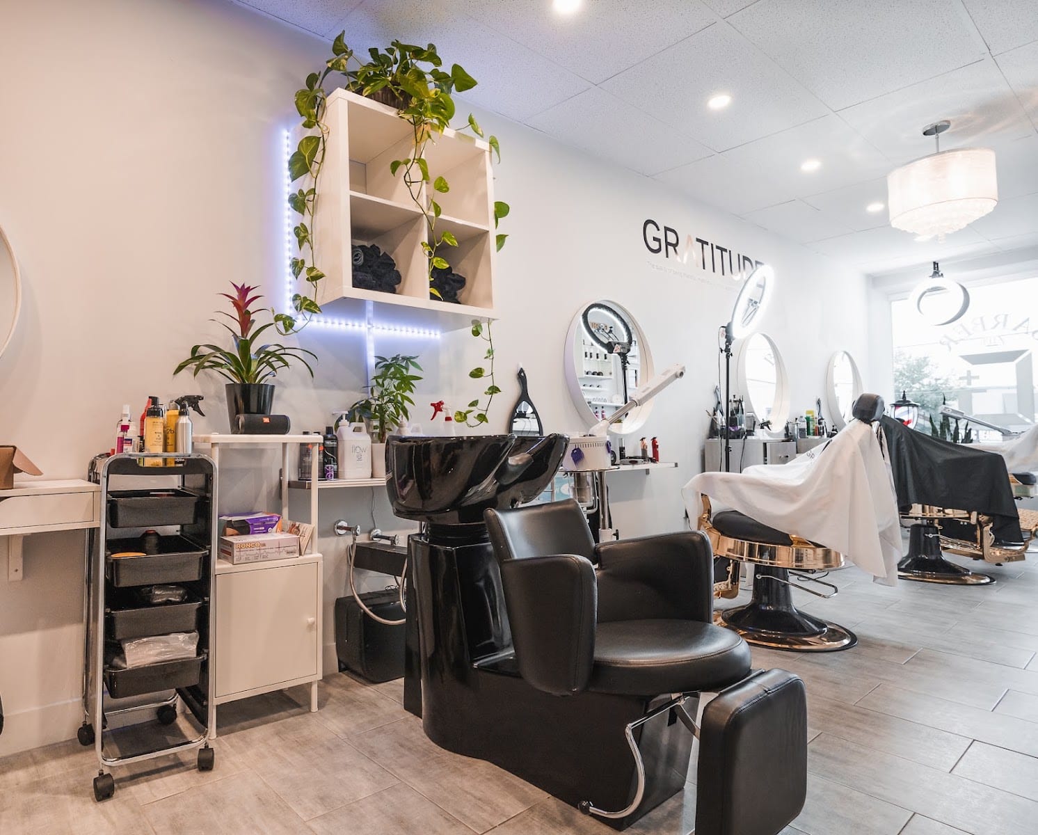 Gratitude Hair Gallery