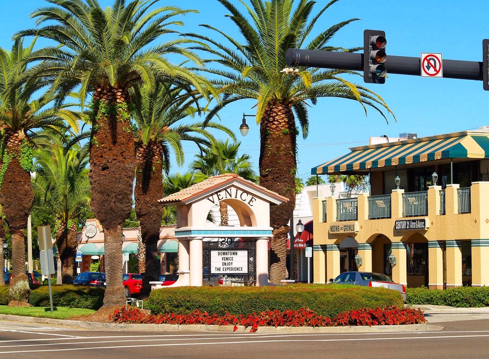 The Suncoast Life with Kim Stephens