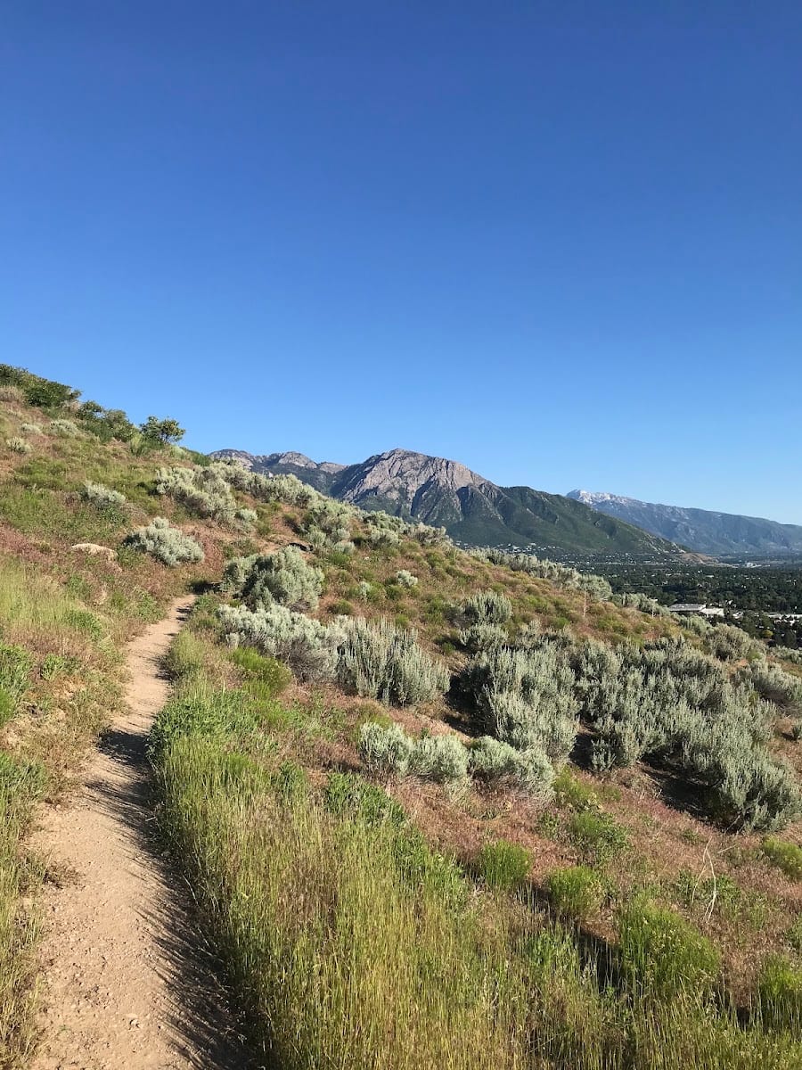 H-Rock Open Space