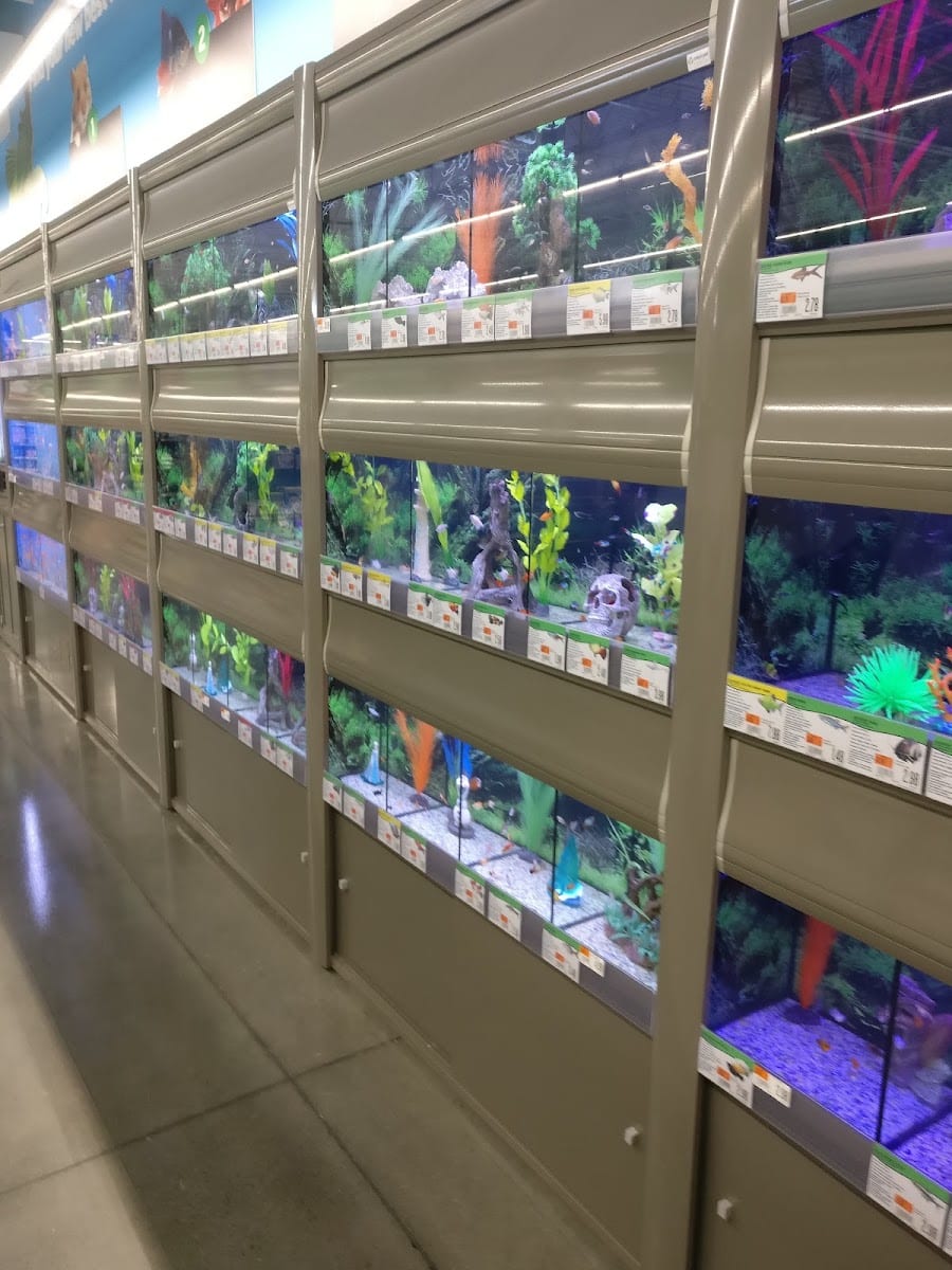 Pet Supplies Plus Madison