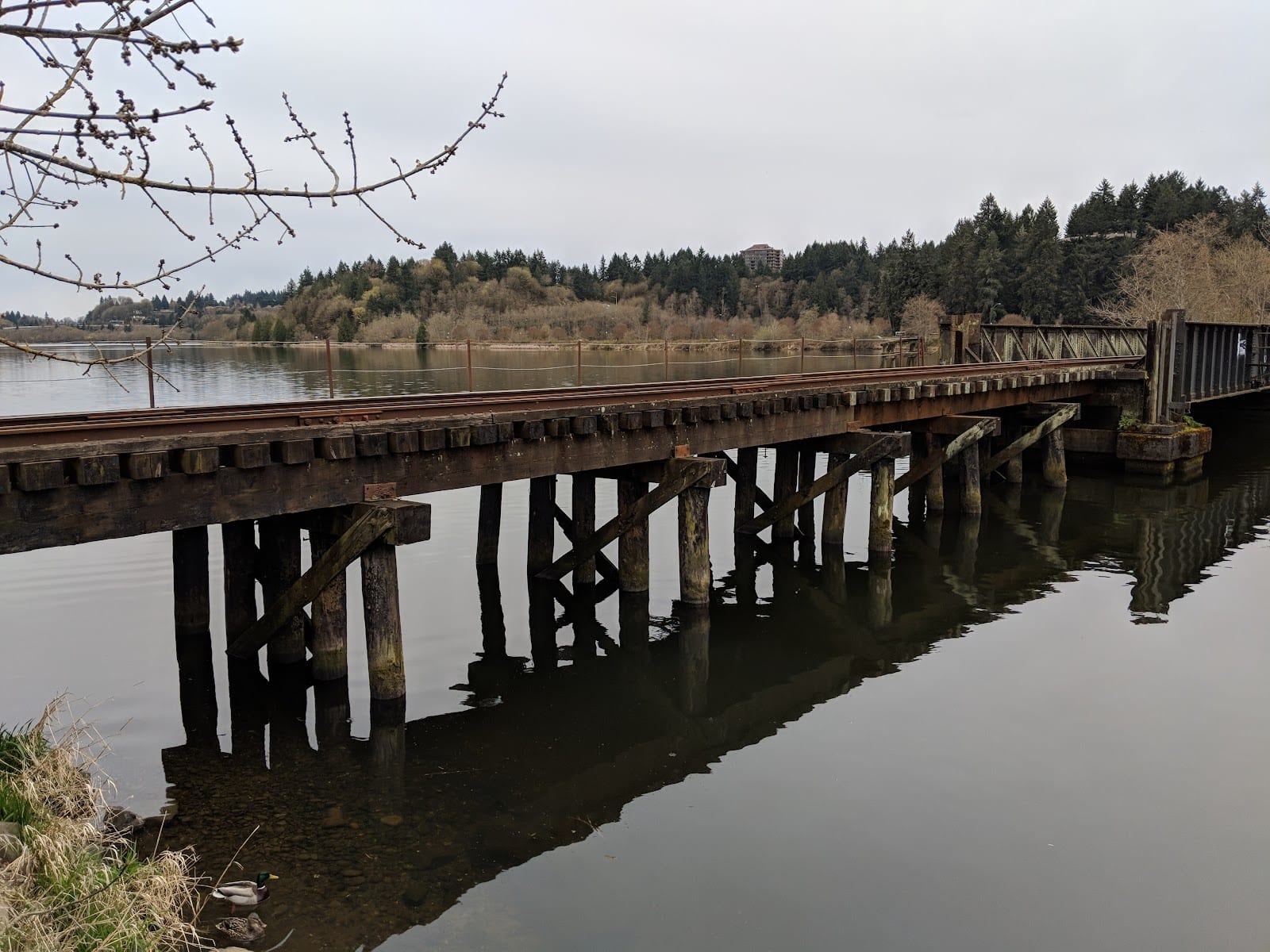 Marathon Park