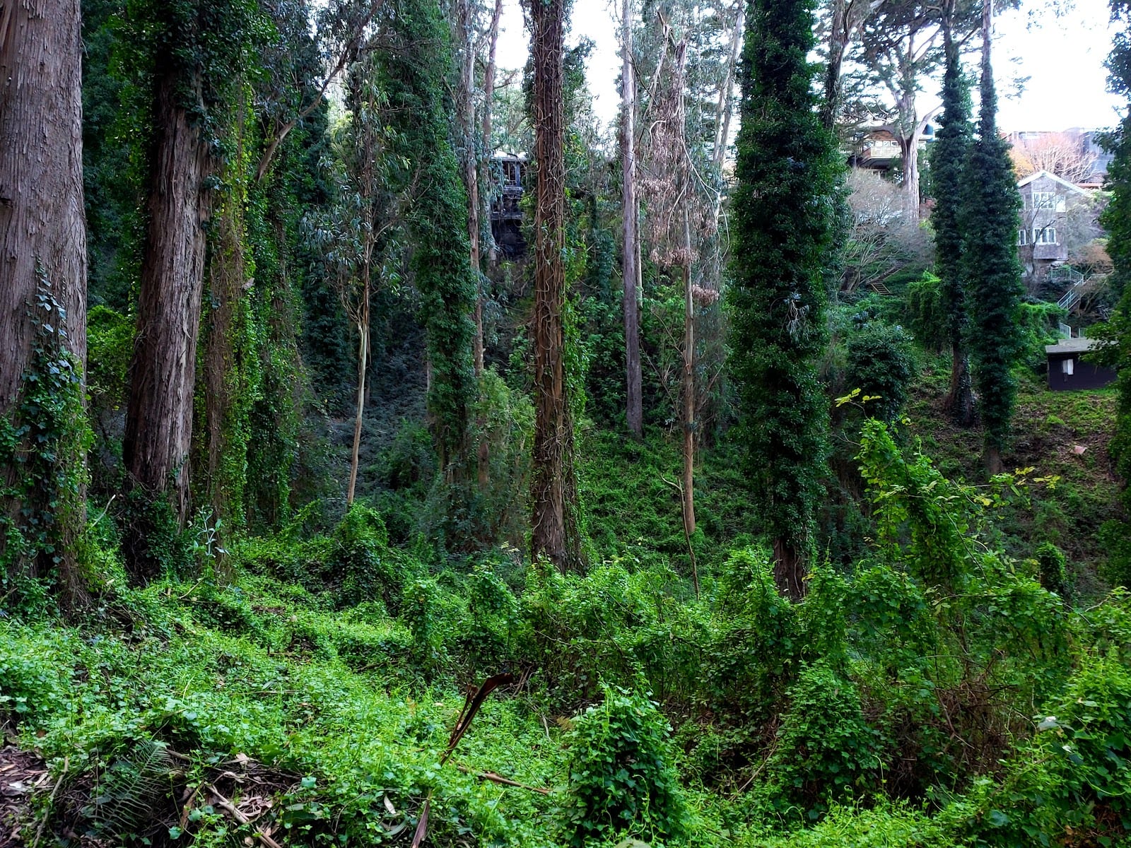 Interior Greenbelt, photo 3