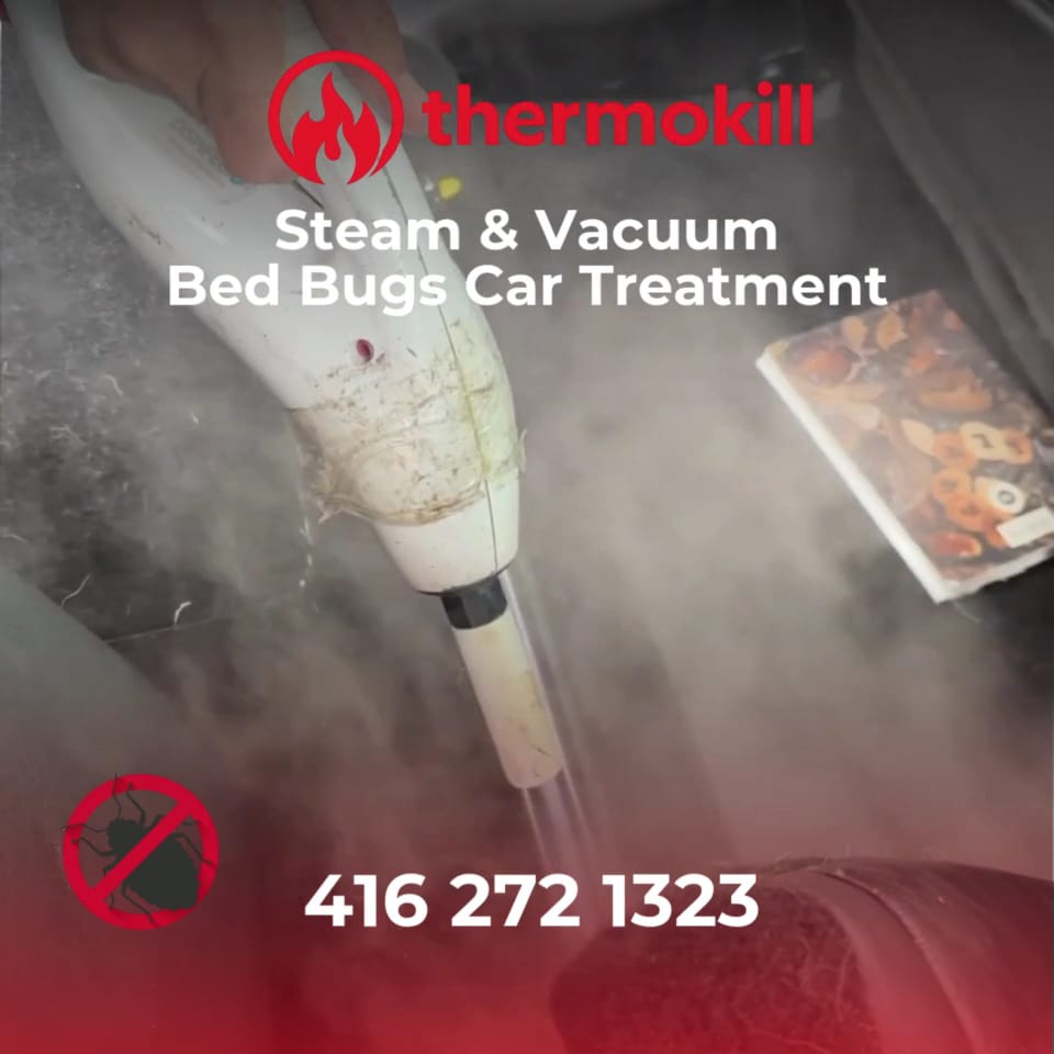 Thermokill Bed Bug Heat Treatment Toronto, photo 3