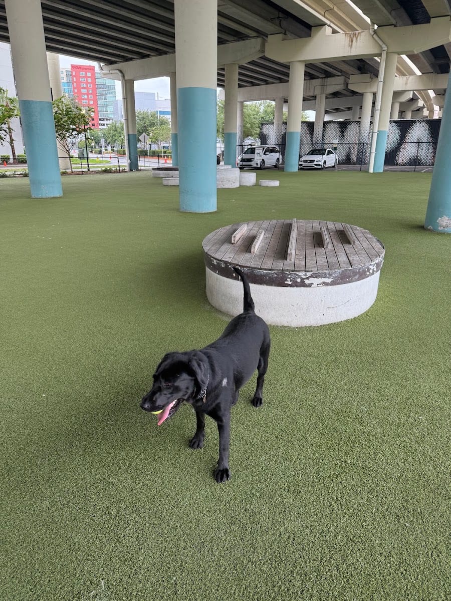 Deputy Kotfila Memorial Dog Park