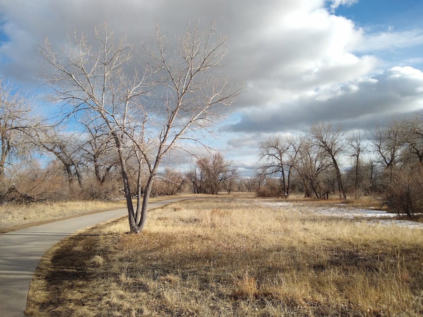 Parker Jordan Centennial Open Space, photo 4