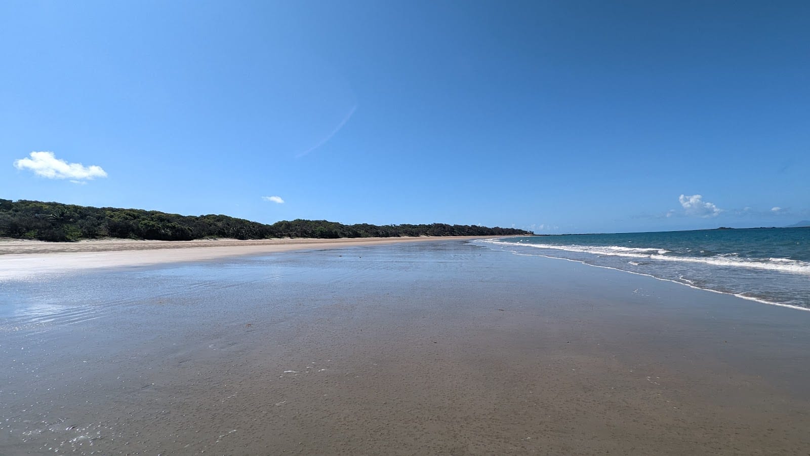 Seaview Park - Off Leash Dog Beach, photo 3