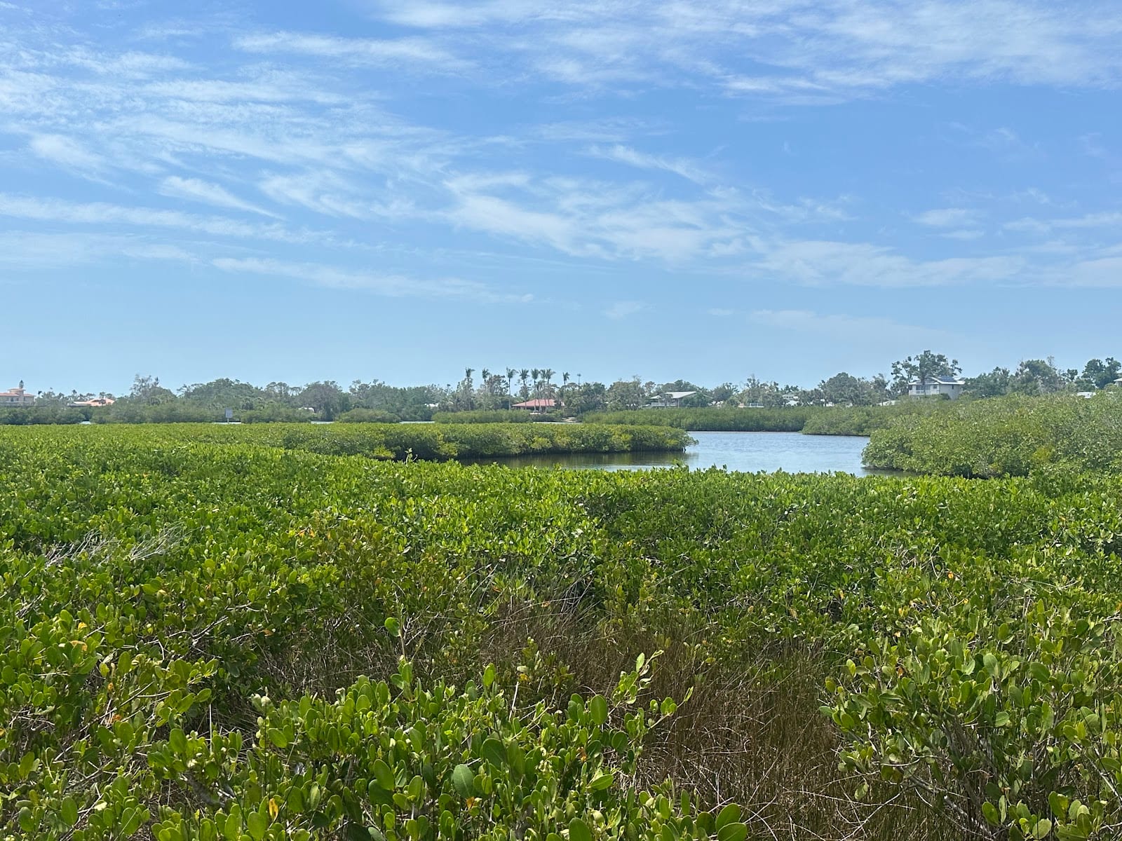 Bird Bay Village, photo 2