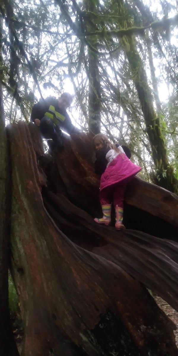 Watershed Park