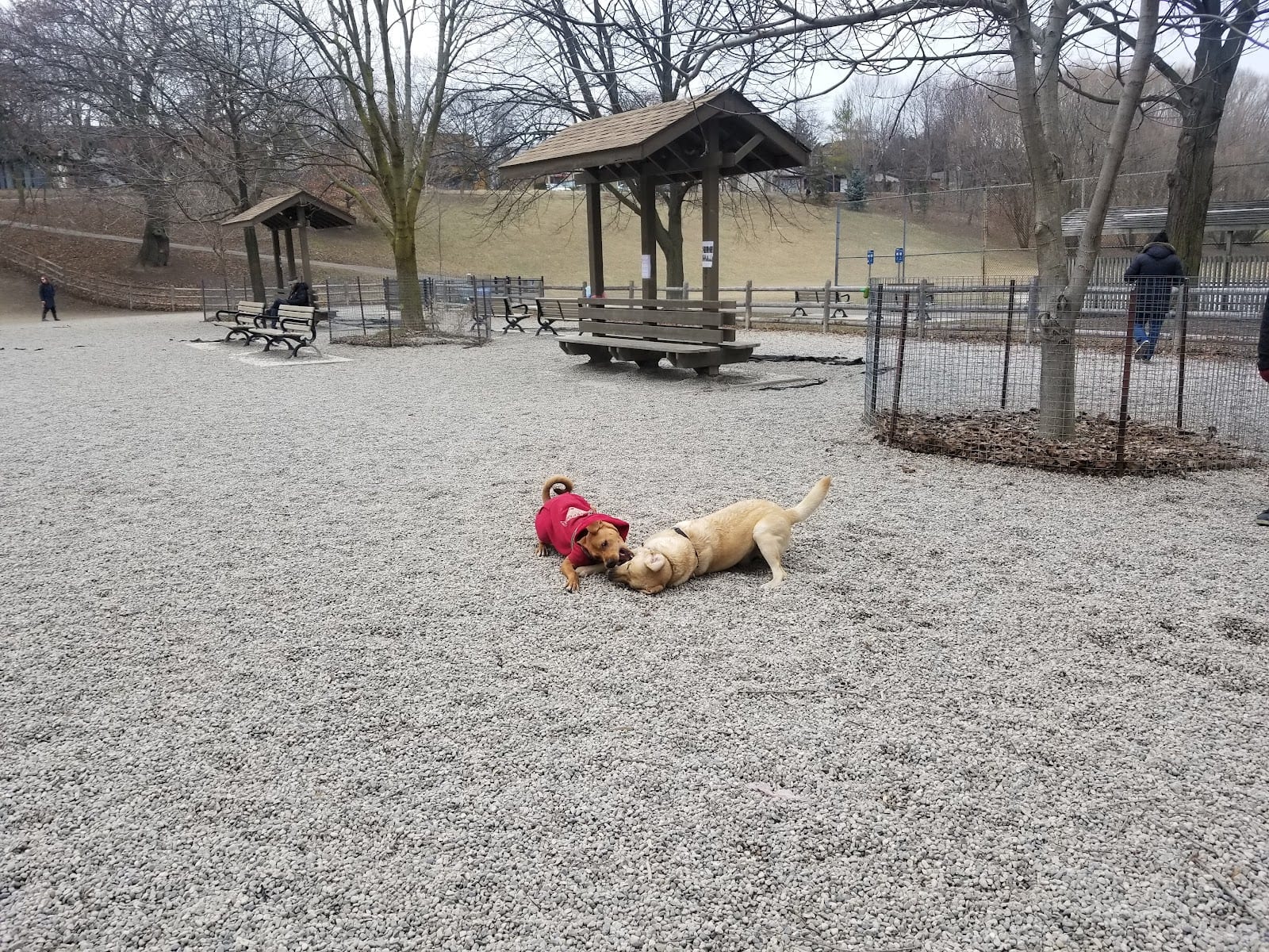 Bickford Park Dog Park