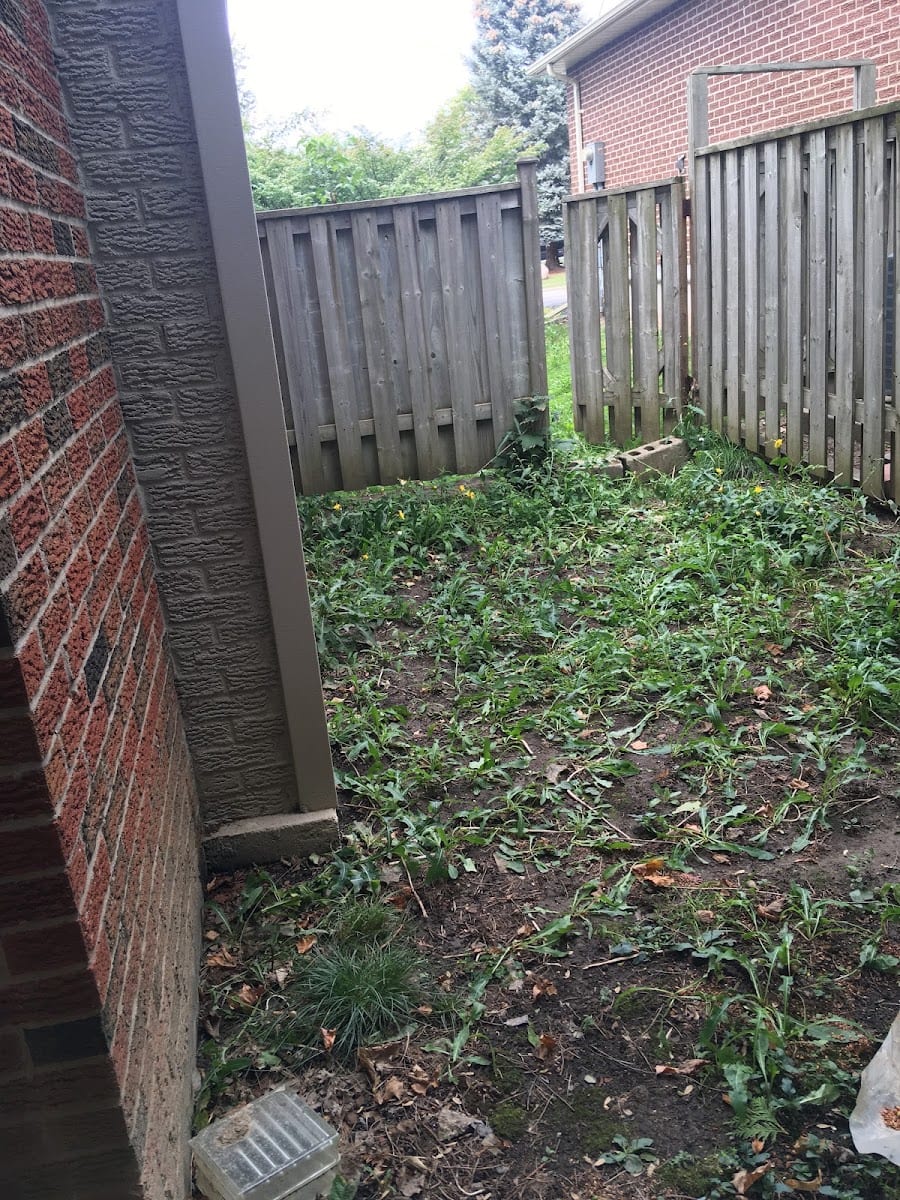 Chosen Landscaping