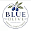 Blue Olive Pizza & Mediterranean Grill