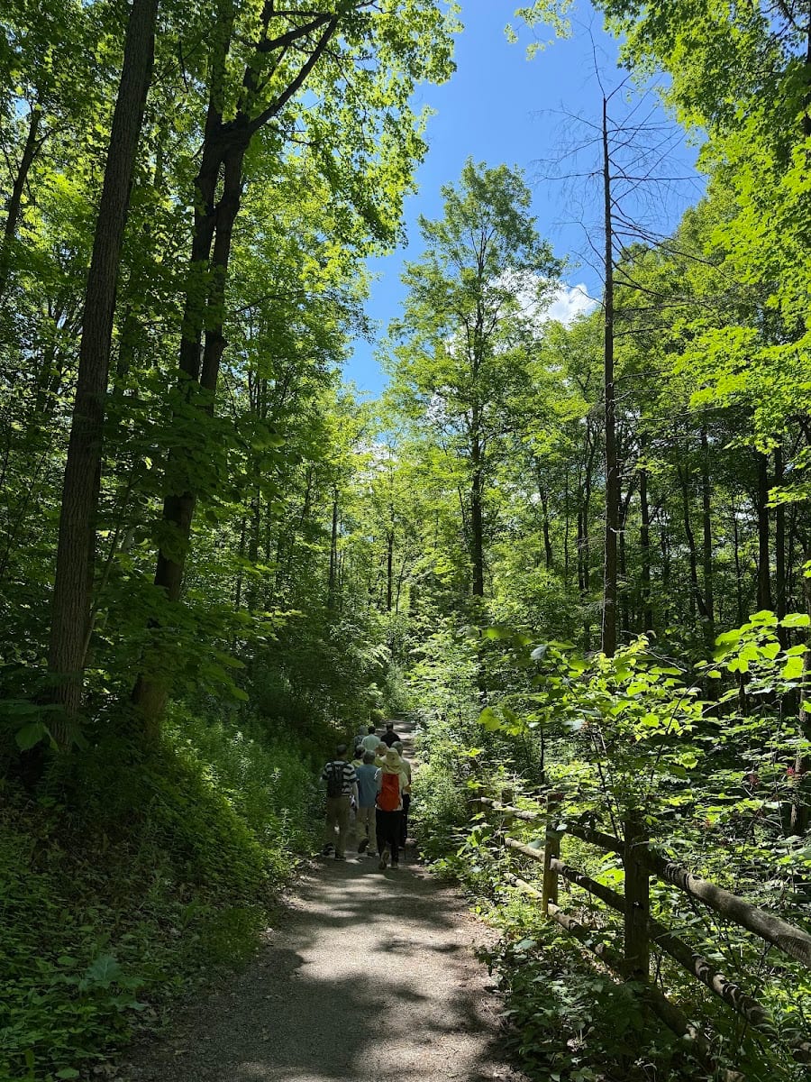 Bond Lake Trail