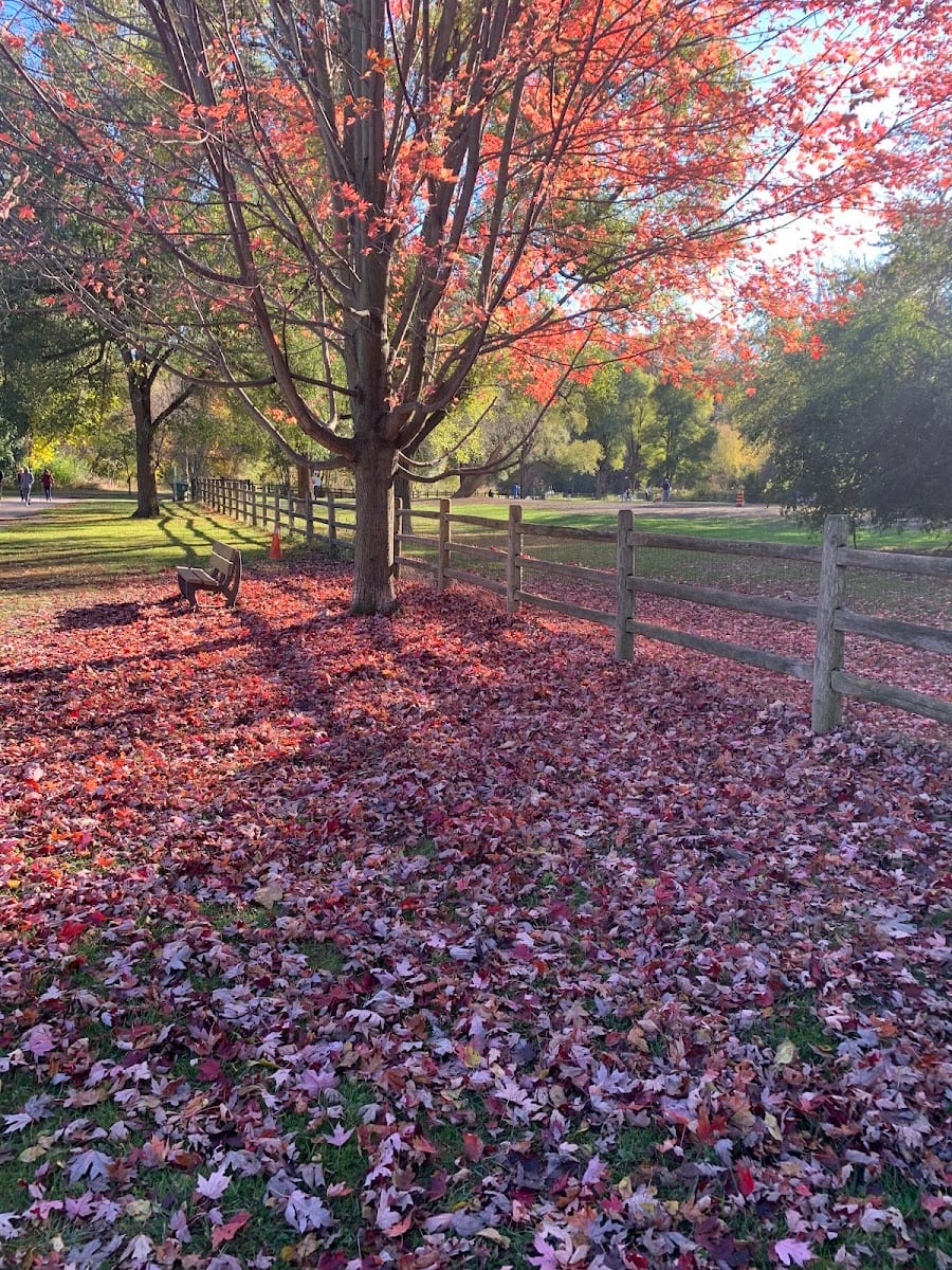 Sunnybrook Park