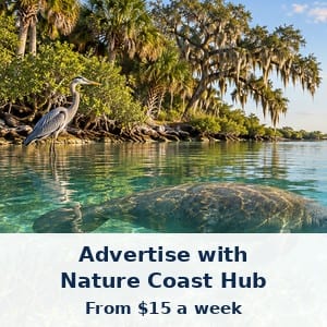 Advertisement