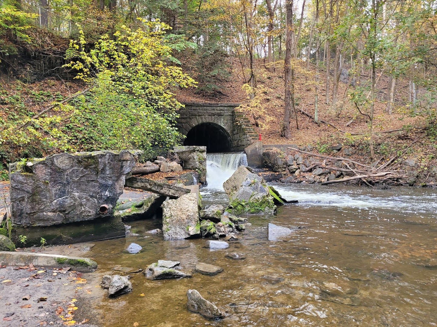 Saratoga Spa State Park, photo 4