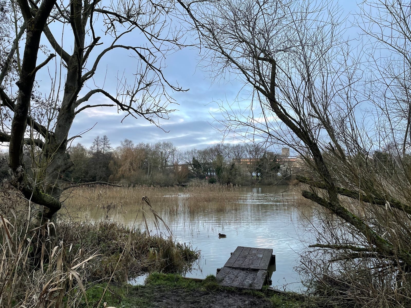 UEA Broad, photo 3
