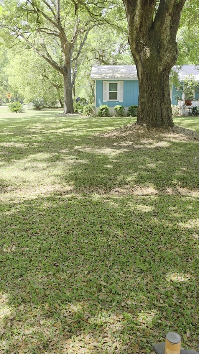 Top of The Lawn Landscaping LLC, photo 2