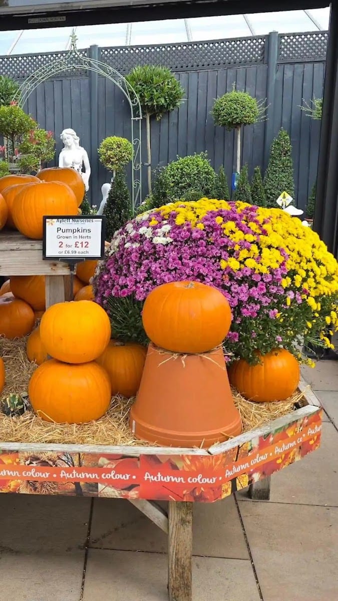 Aylett Nurseries, photo 3