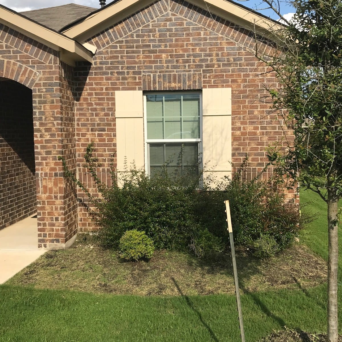 LawnStarter - Austin Landscaping, photo 2