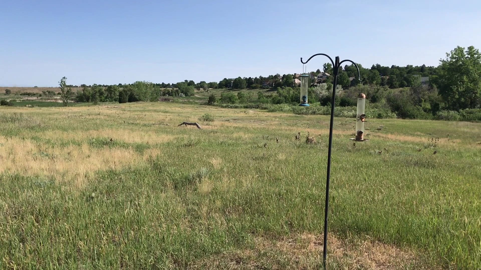 Willow Springs Open Space, photo 2