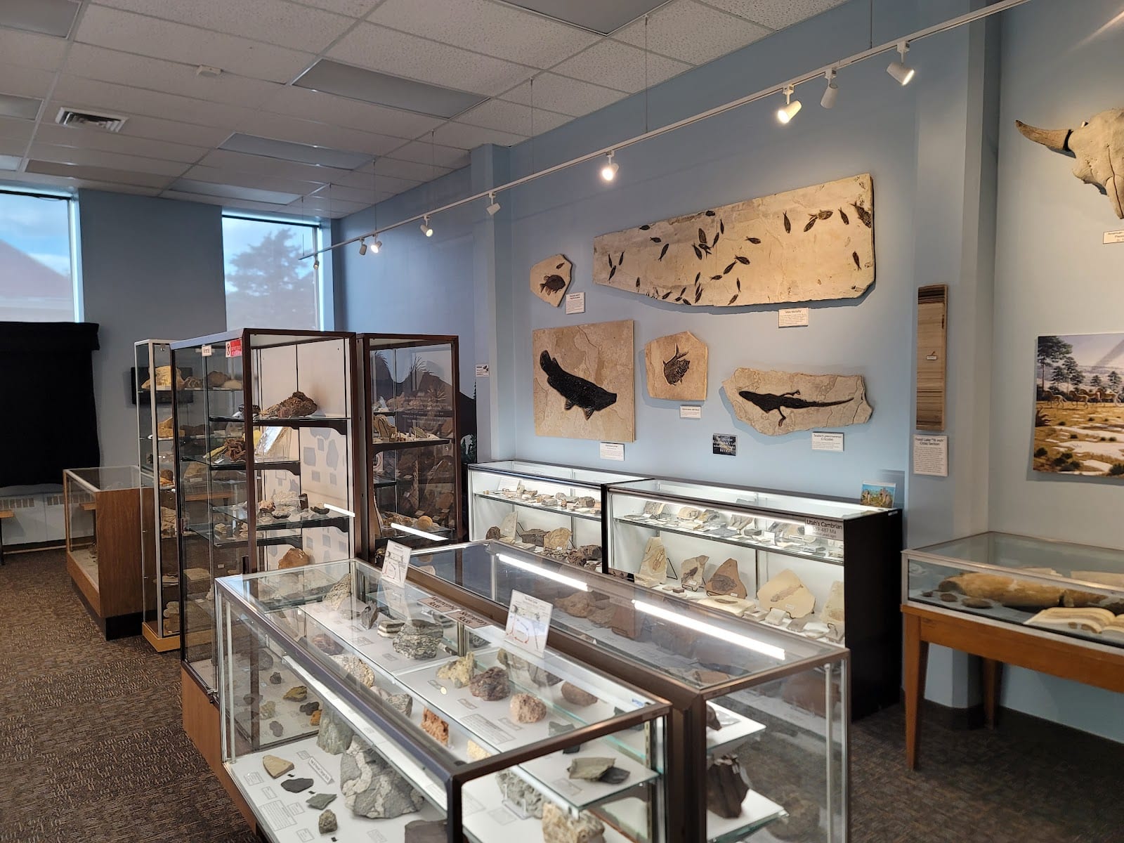 USU Geology Museum