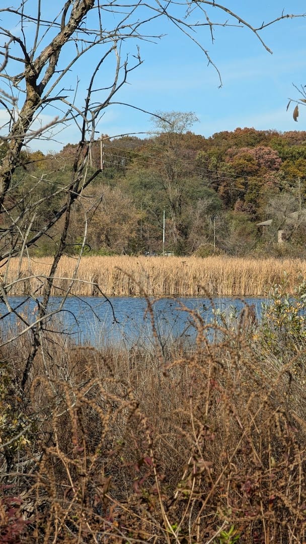 Spring Lake