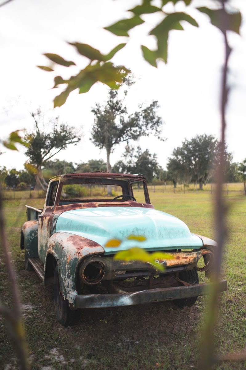 Serene Oaks Venues, photo 3