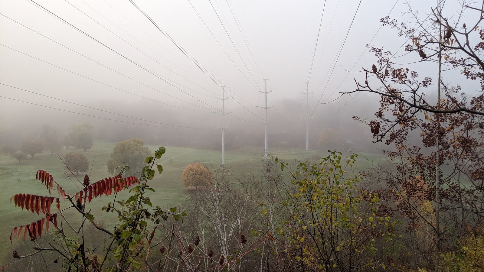 Flemingdon Golf Course Lookout View