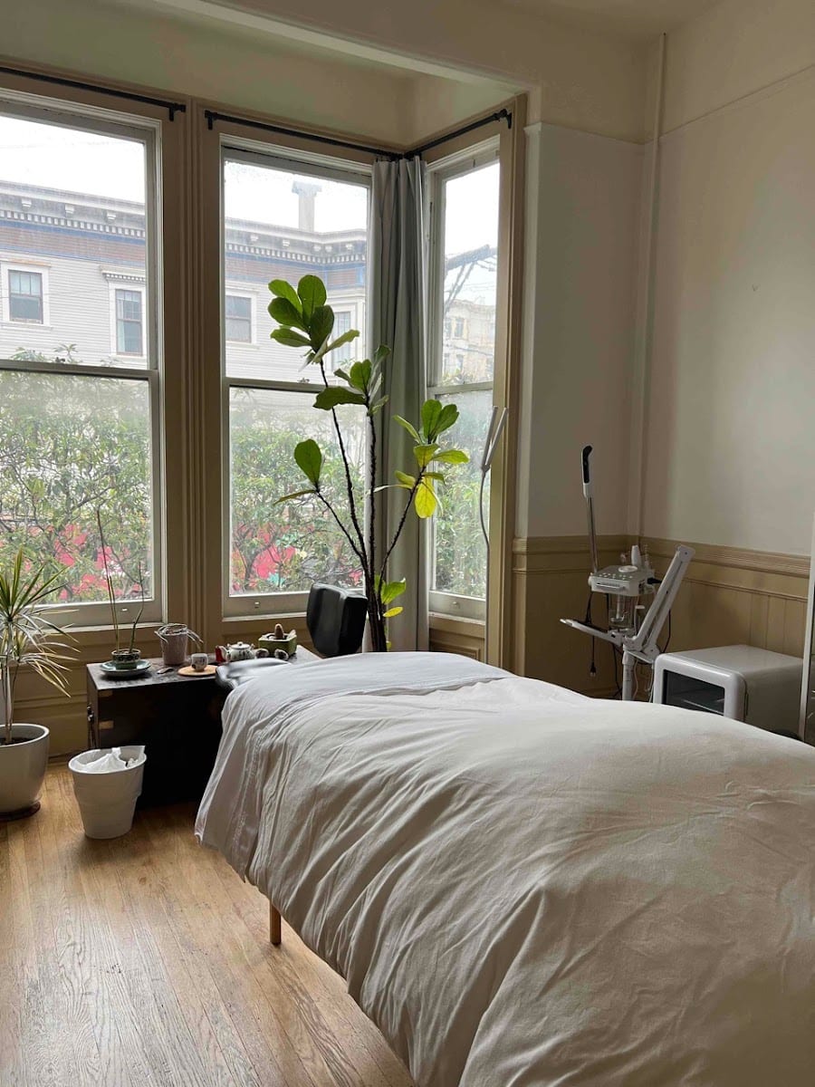 Romani Roots Skincare & Herbal Remedies-Noe Valley Facial & Waxing Studio