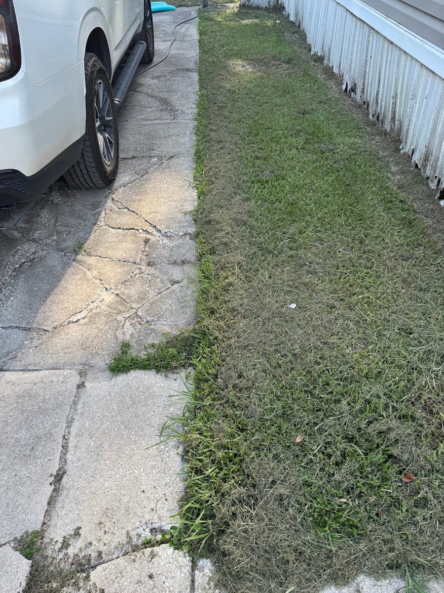 Gators lawn service