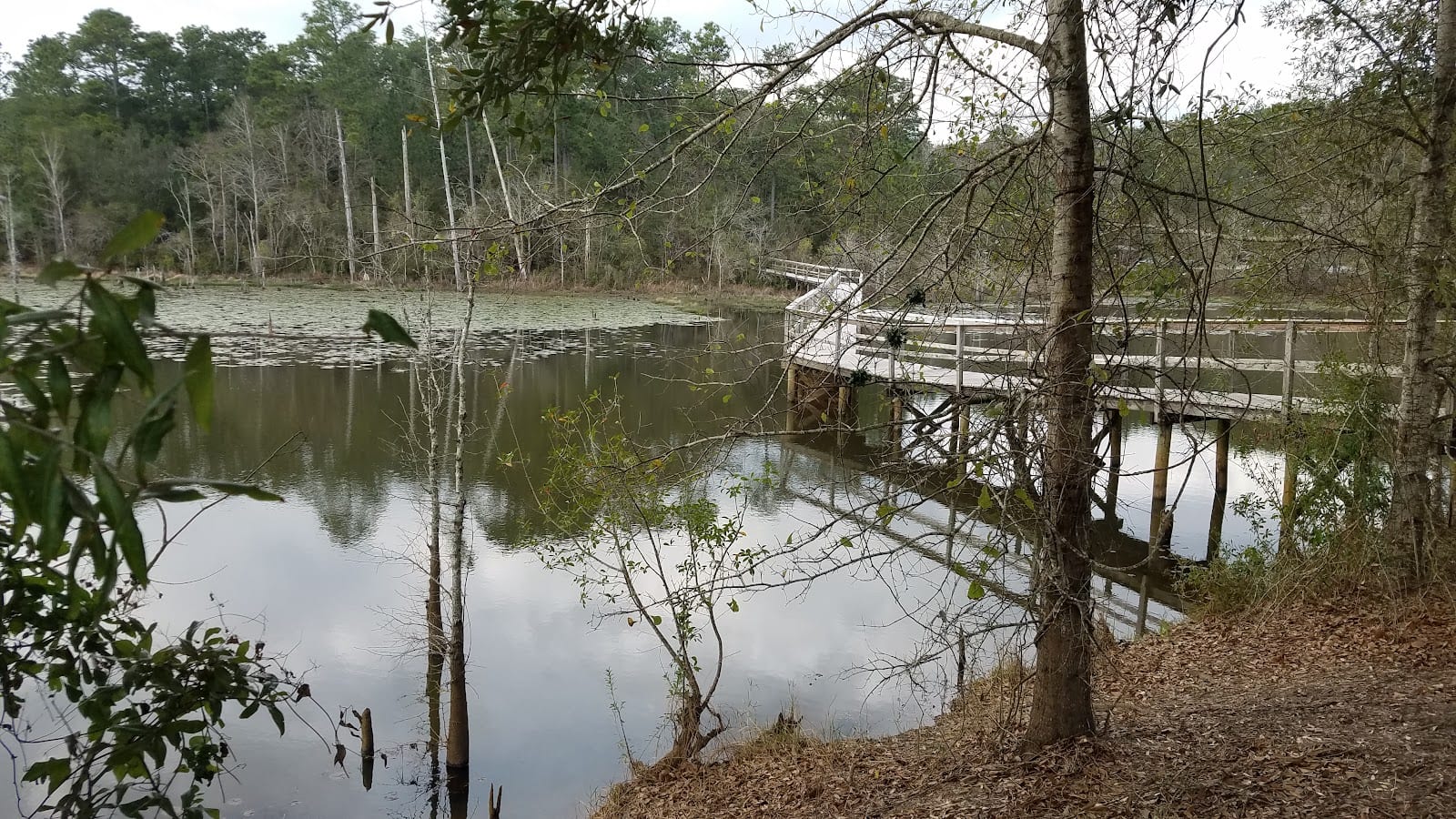 University of South Alabama Disc Golf Course