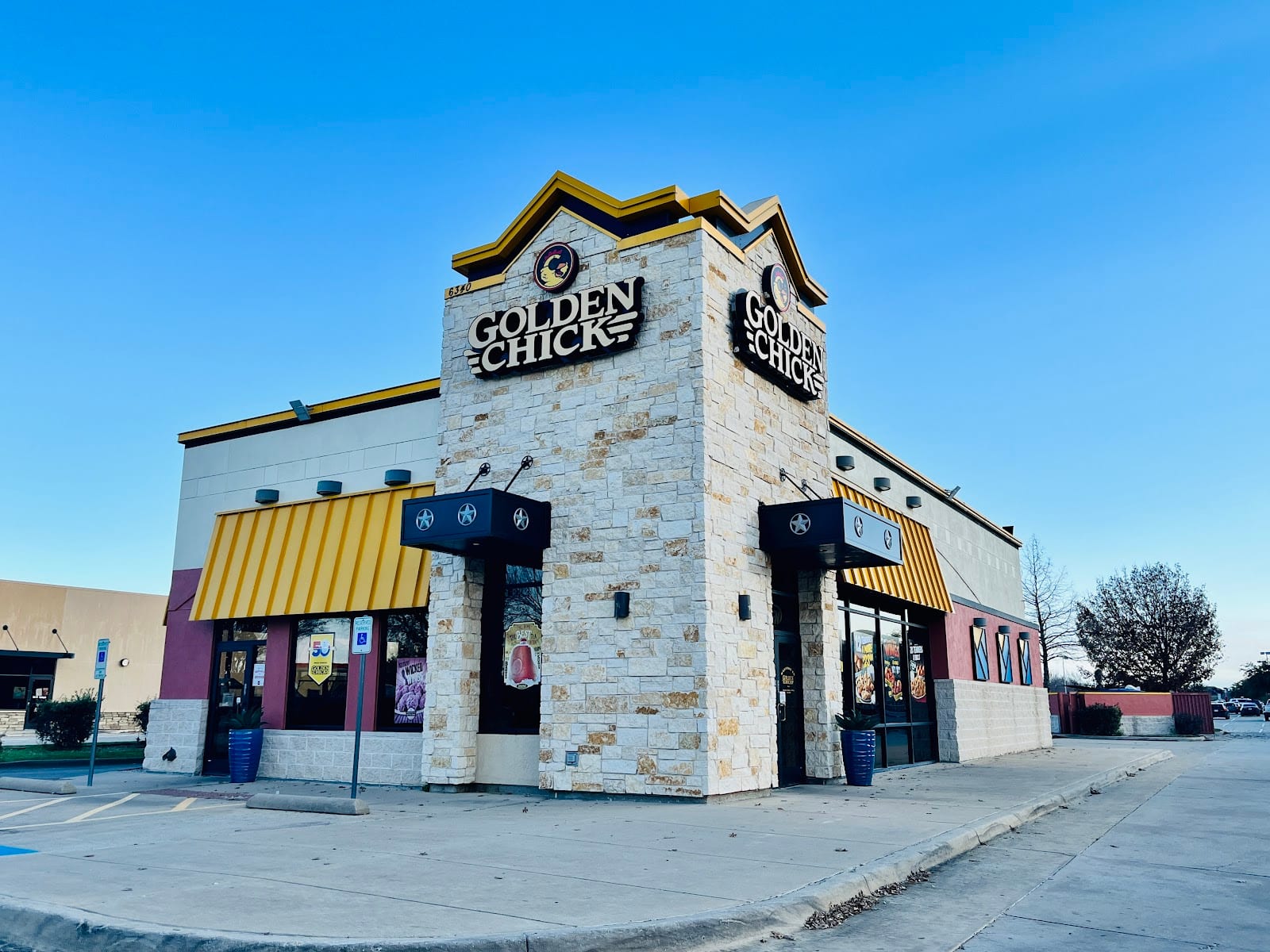 Golden Chick, photo 4