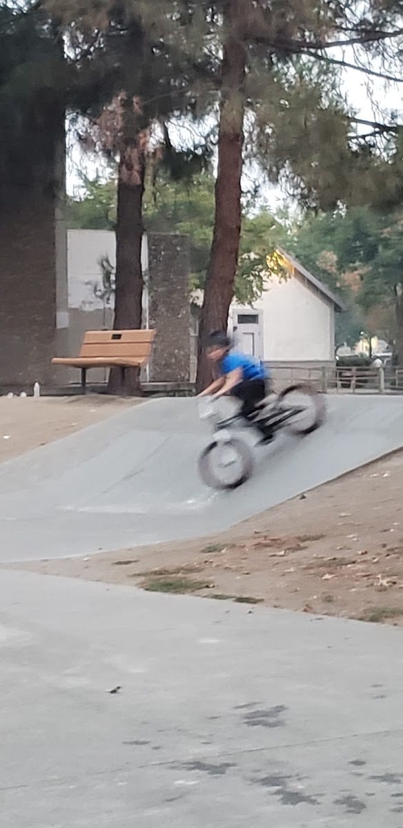 Downtown Napa Skateboard Park