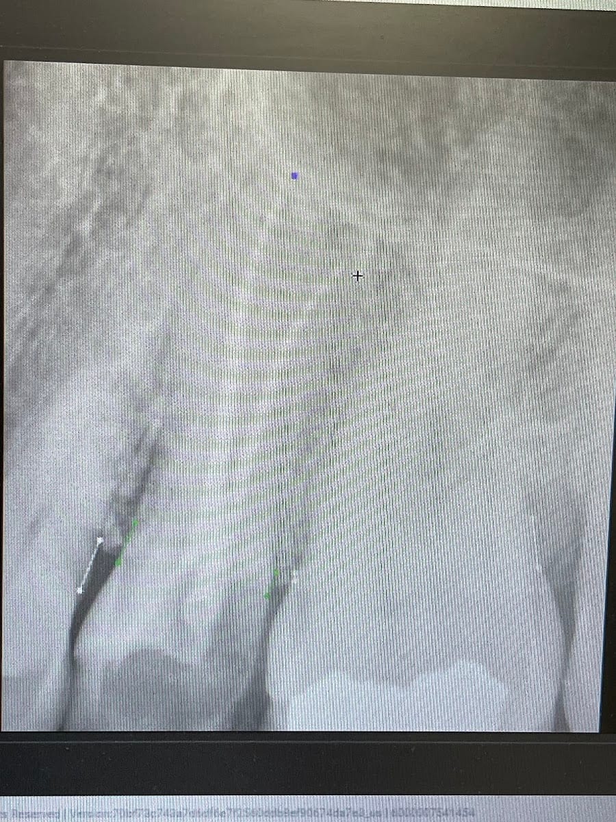 The Pearl Dentistry of Sarasota