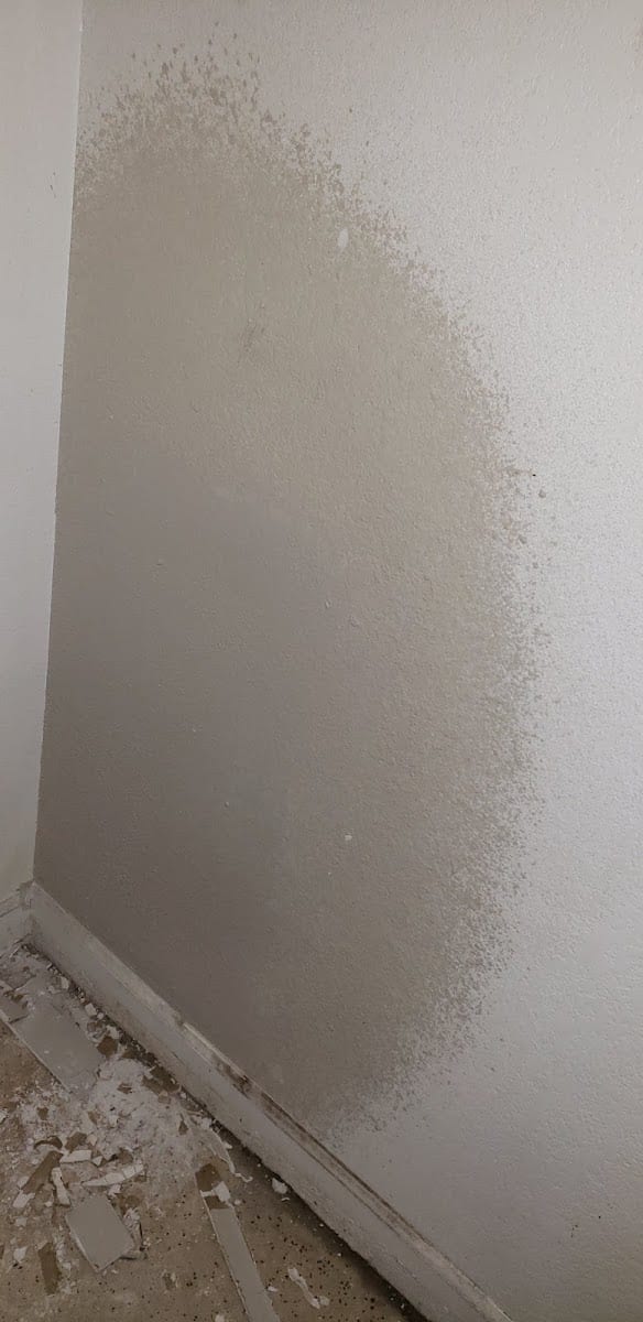 Paint N Drywall, photo 3