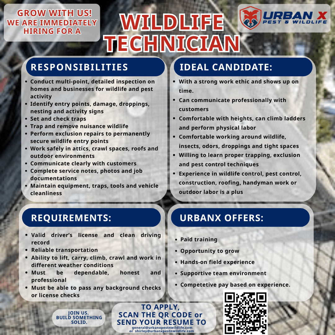UrbanX Pest & Wildlife Removal, photo 3