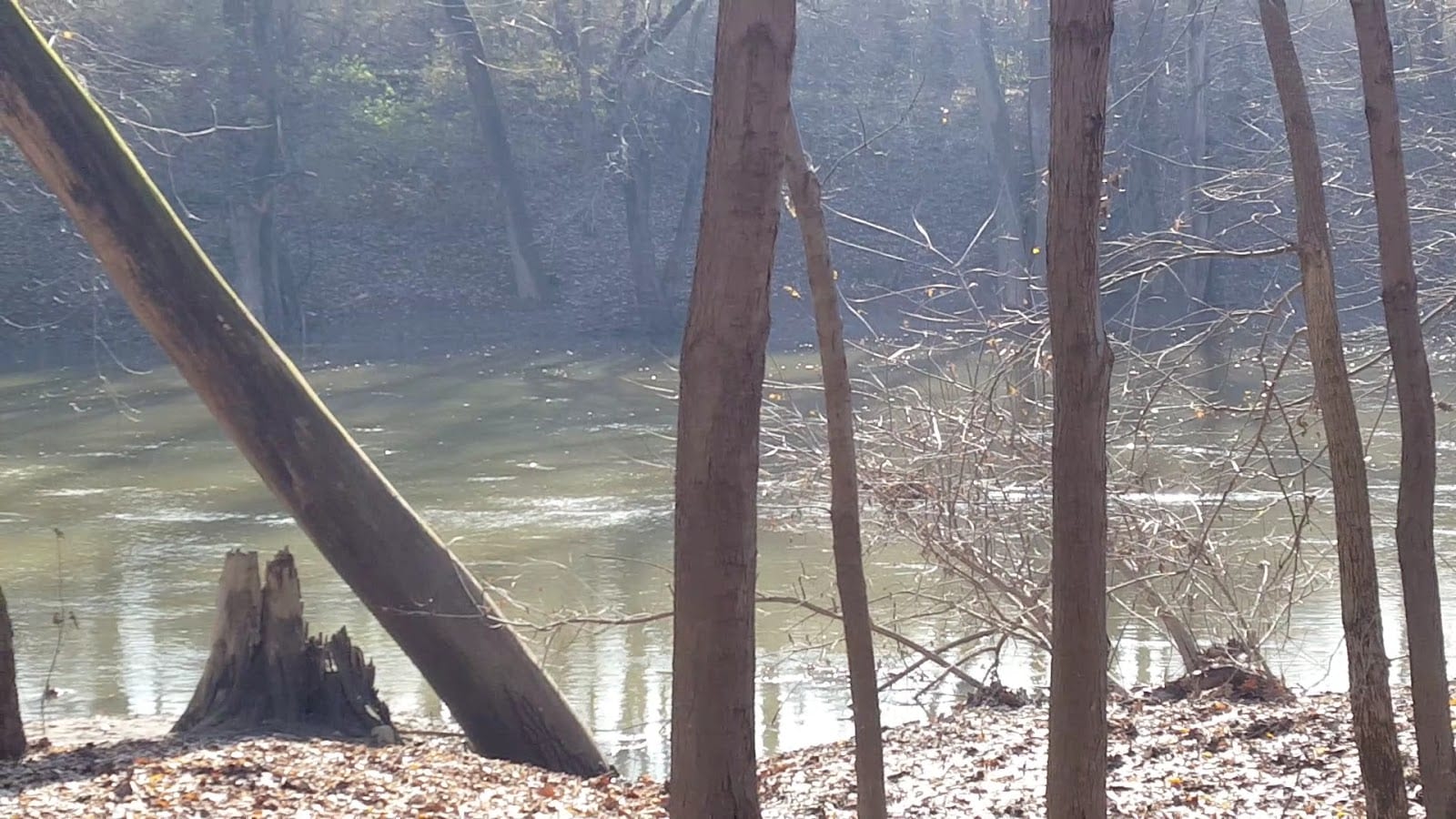 Maumee Trailhead, photo 3