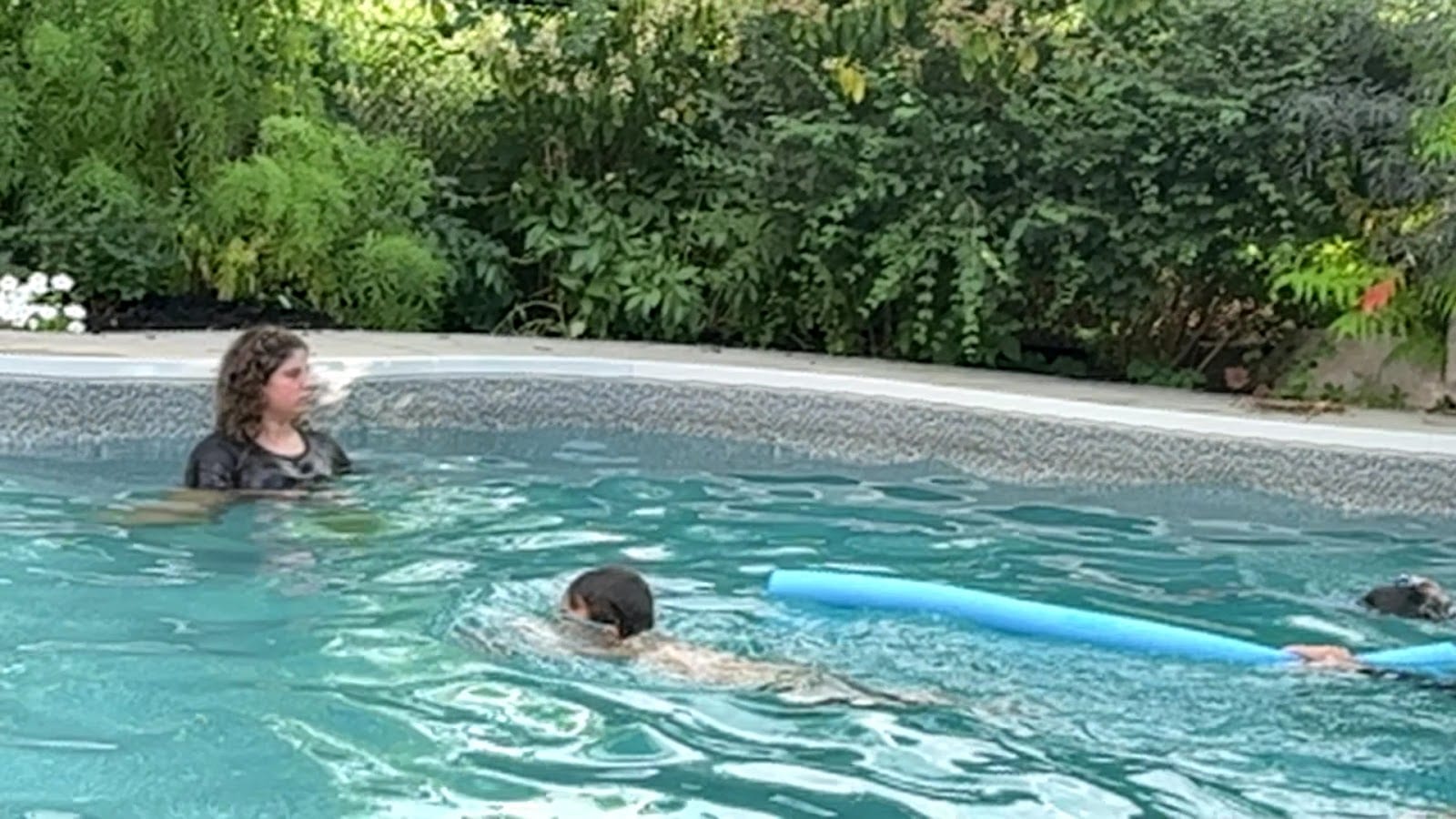 EZswims, photo 4