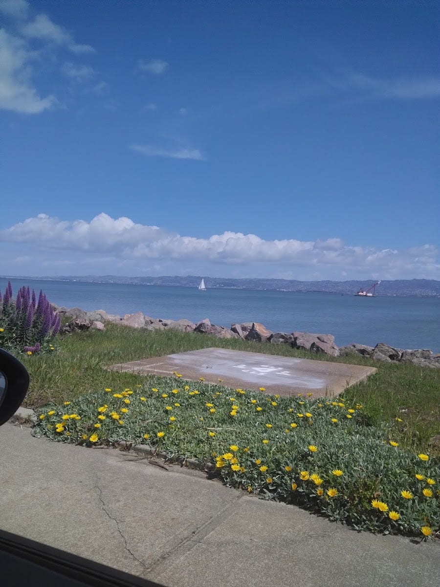 Treasure Island Skatepark, photo 2
