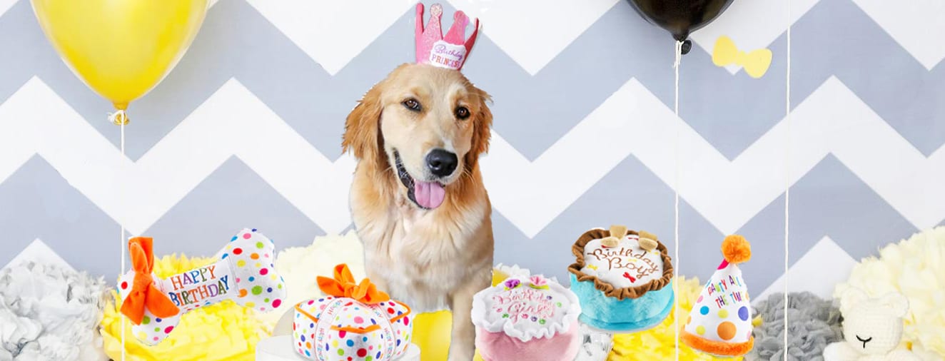 Petshion Boutique