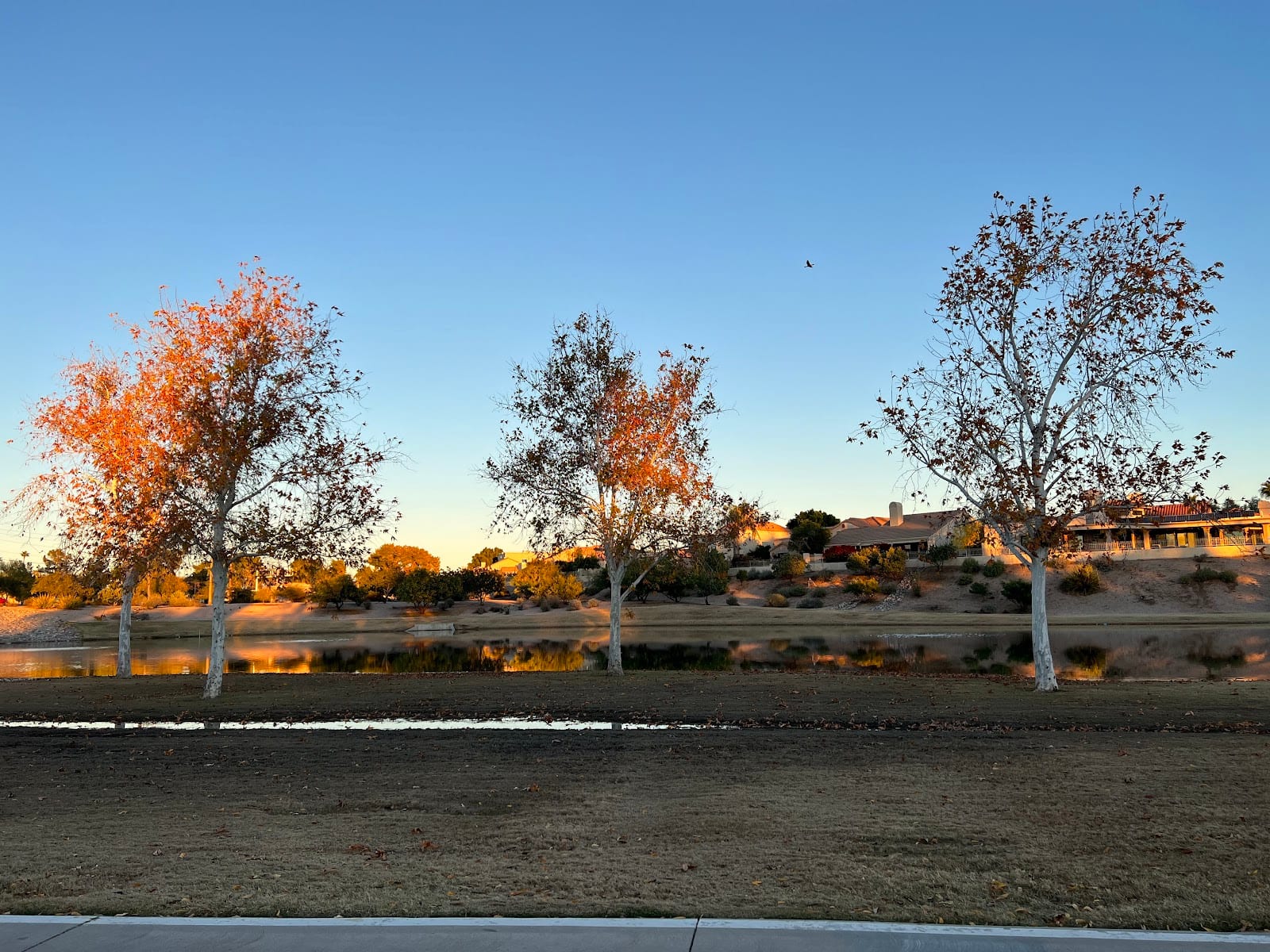 Camelback Park, photo 3