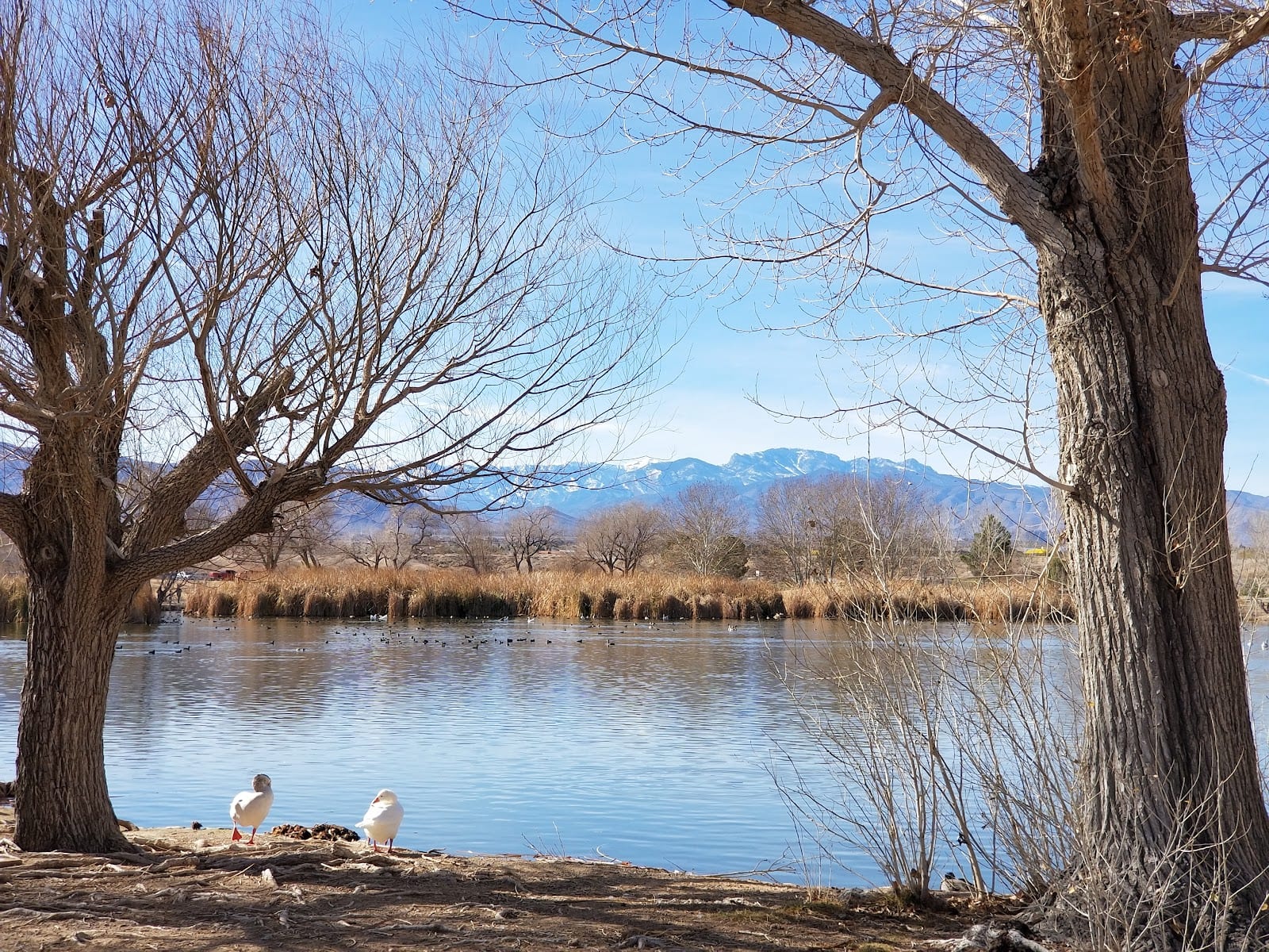 Floyd Lamb Park