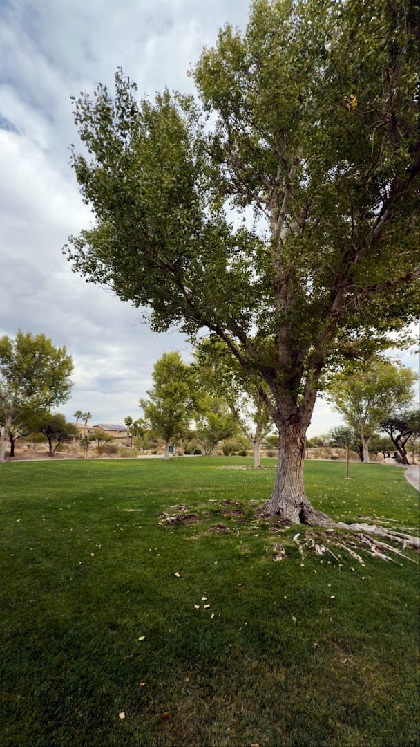 Cottonwood Canyon Trail Park, photo 2
